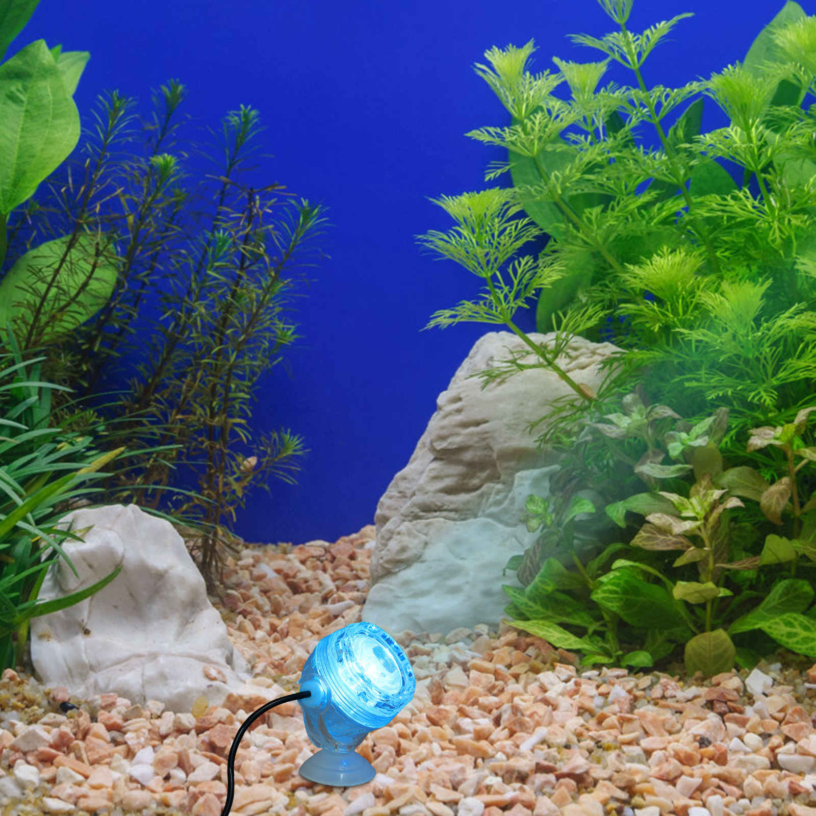 Fish Tank Spotlight Color Changing LED Spotlights Lamp Aquarium Small Decor Night Accessories