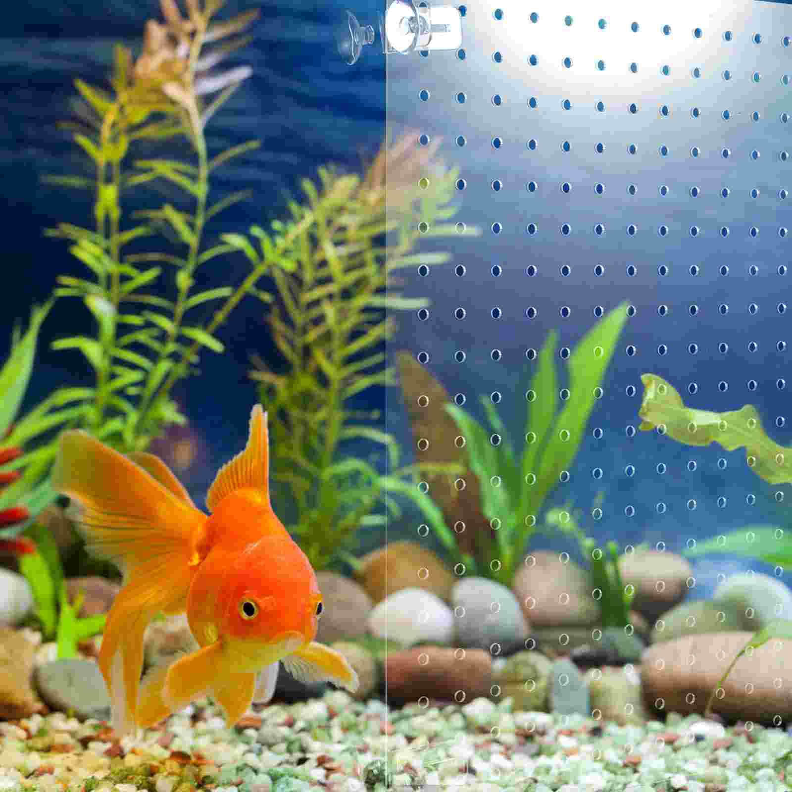 Fish Tank Isolation Board Divide Suction Cup Aquarium Divider Acrylic Transparent