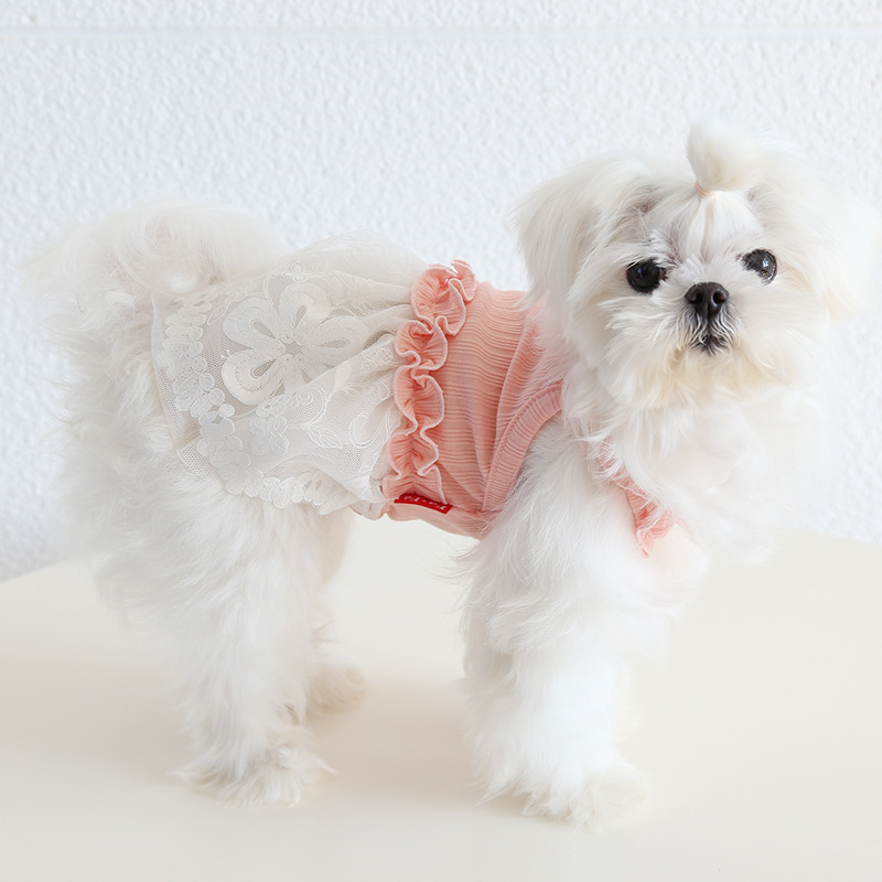Floral Edge Dresses For Chihuahua Breed Dog Lace Female Pet Cat Wedding Party Luxury Dresses Pink Bue Summer Spring Vest Outfit