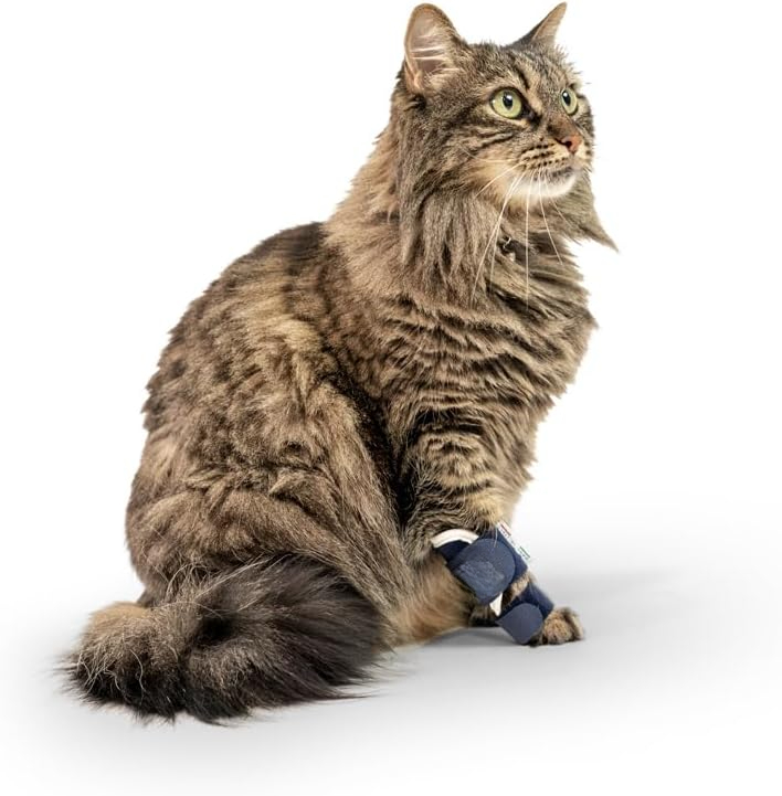 Splint Carpal Hyperextension Dog Brace ,Supports Fractures and Sprains, Front Leg Support (Small) Dog Ankle Splint Brace