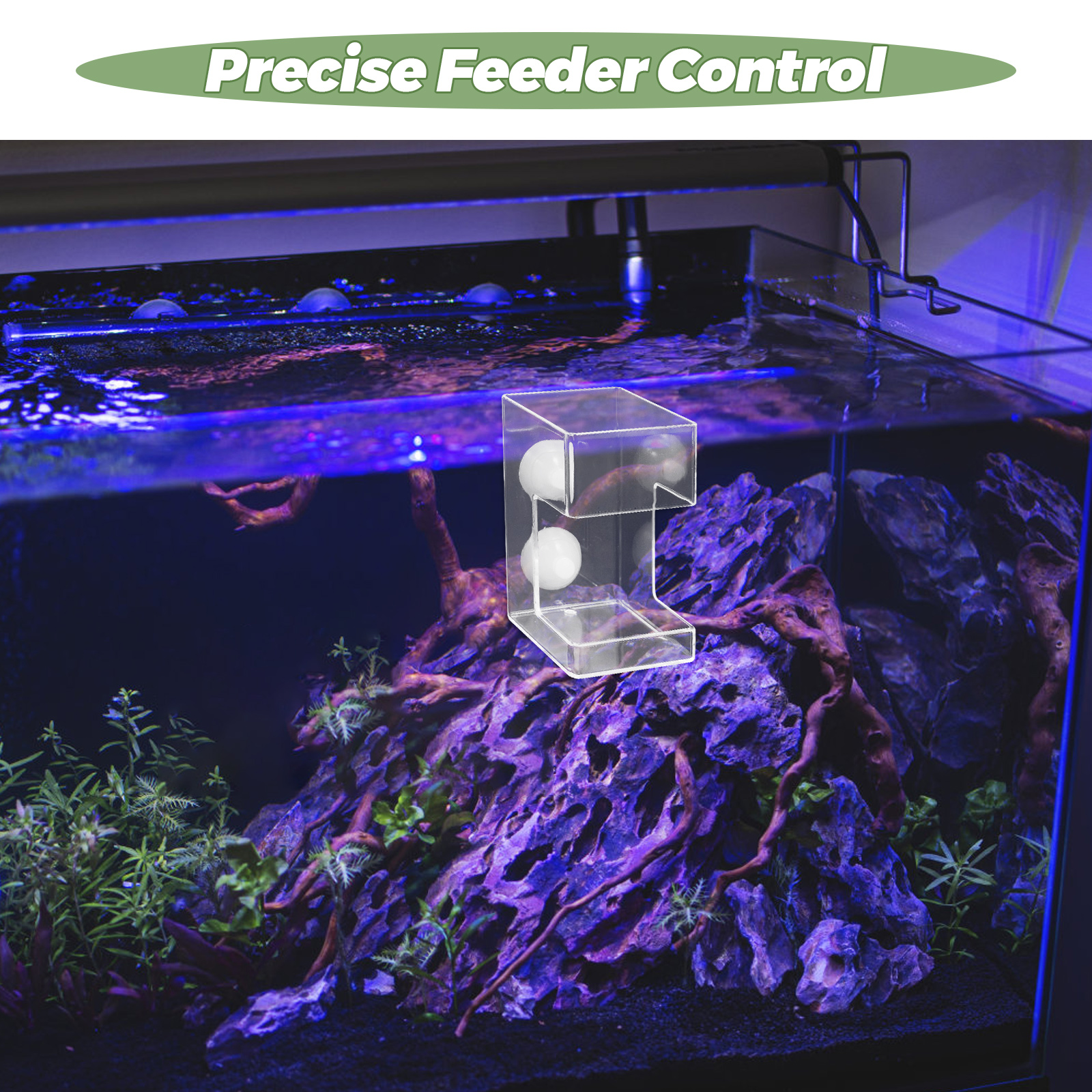 Fish Tank Feeder Floating Dish Acrylic Worm Shrimp Feeding Aquarium Tray Automatic