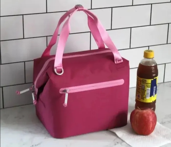 All Day Julienne Mini Soft Lunch Bag Box Recycled Polyester Coog Travel Cooler Bags with 0303