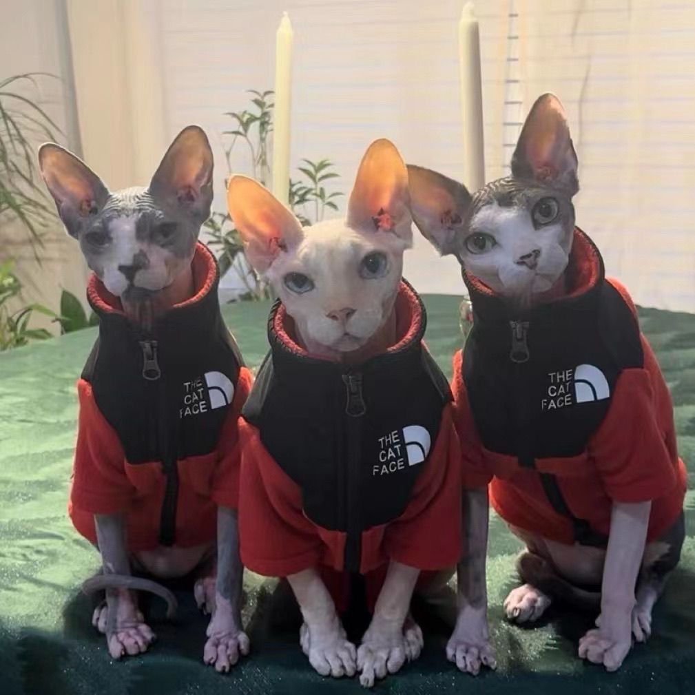 2025 new THE CAT FACE Sphynx Jacket Warm Thickened Fleece Sest Hairless Clothes with Zipper Cat Coat for Devon,Cornish, Peter Bald, Small Ki