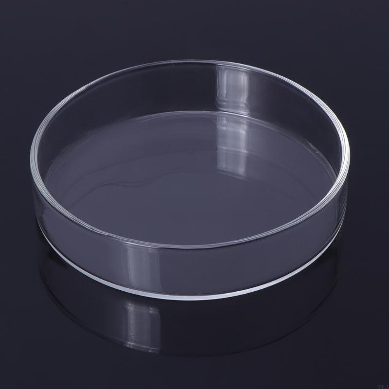2025 New Shrimp Feeder Glass Feeding Dish Aquarium Fish for Tank Reptiles Round Clear Bowl 3.9" 3.5" 3.2" 2.6" 2.4"