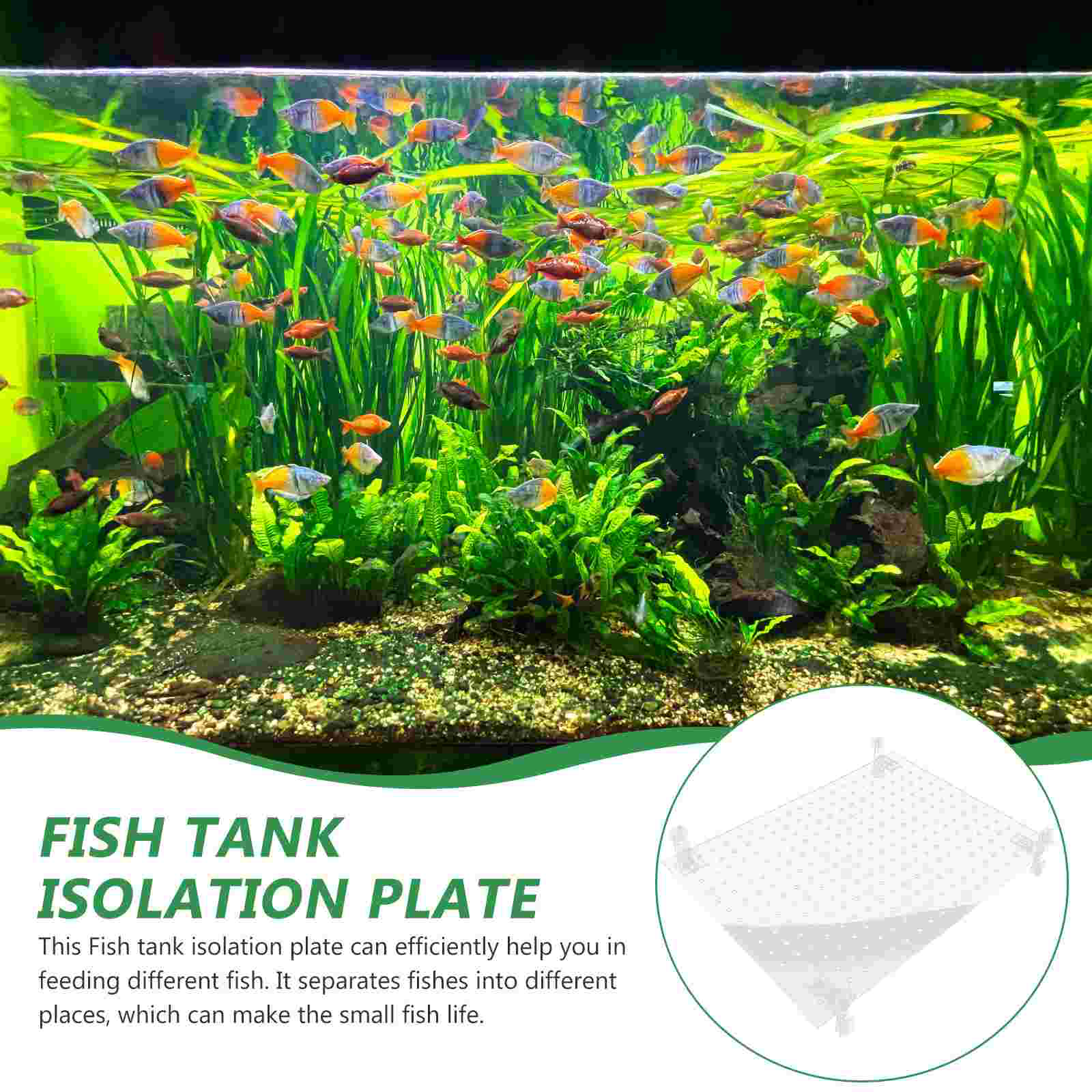 Fish Tank Isolation Board Divider Supply Aquarium Equipment Breeding Suction Cup Acrylic