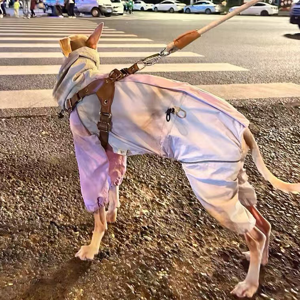 Luxury 4-legged Purple White Jacket for Whipbit Windproof Waterproof Soft RainCoat for Italy Greyhound Huibit Pet Dog Clothes