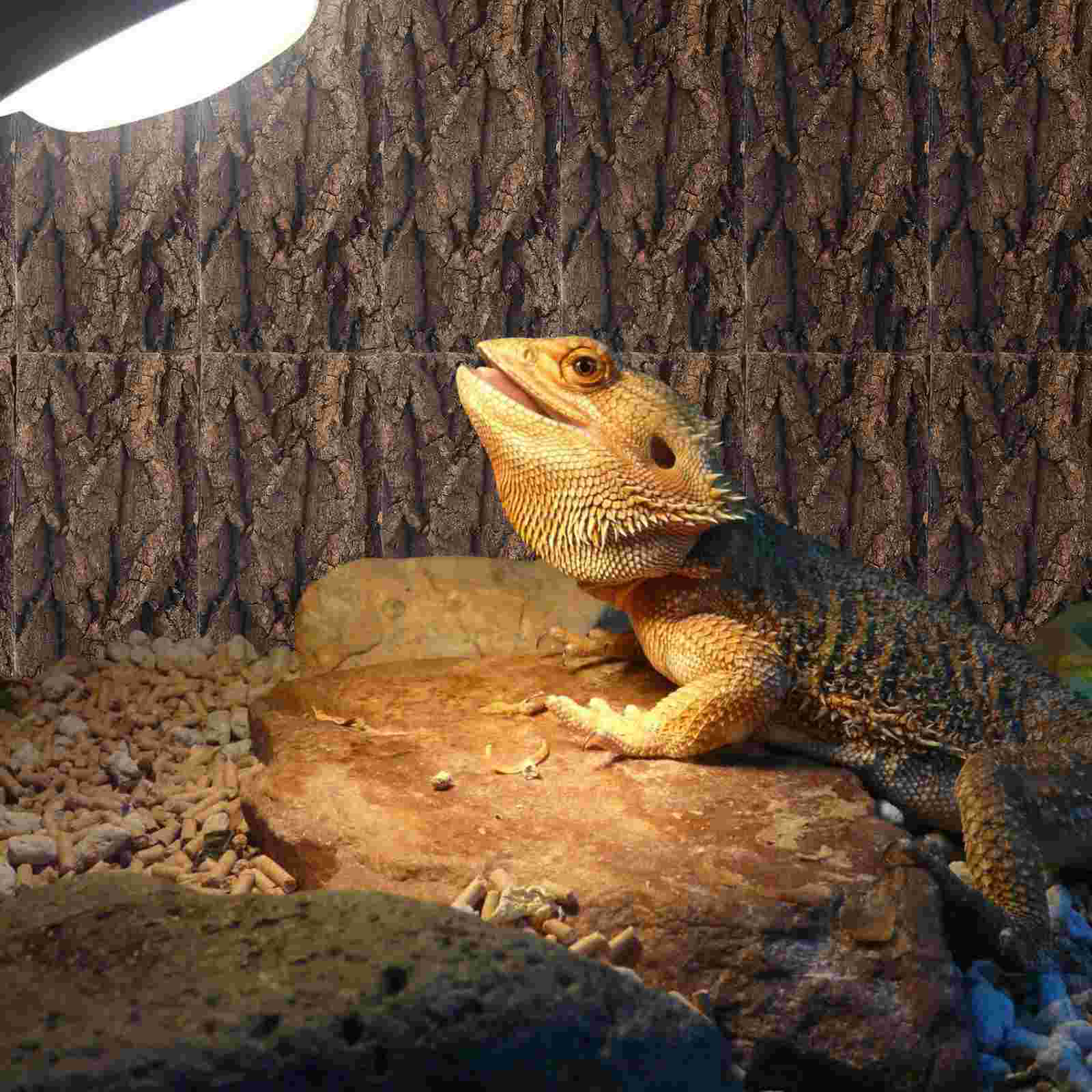 Fish Tank Landscaping Bark for Crafts Large Decorations Natural Aquarium Accessory Home Background Reptile Desktop Turtle