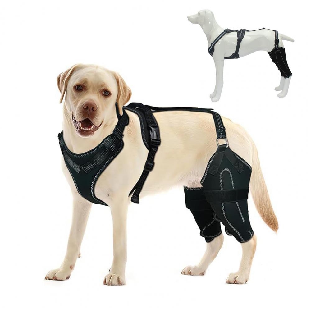 Dog Knee Brace for Acl Injury Dog Knee Brace for Back Leg Support Acl Luxating Patella Support for Dogs with Dysplasia Arthritis