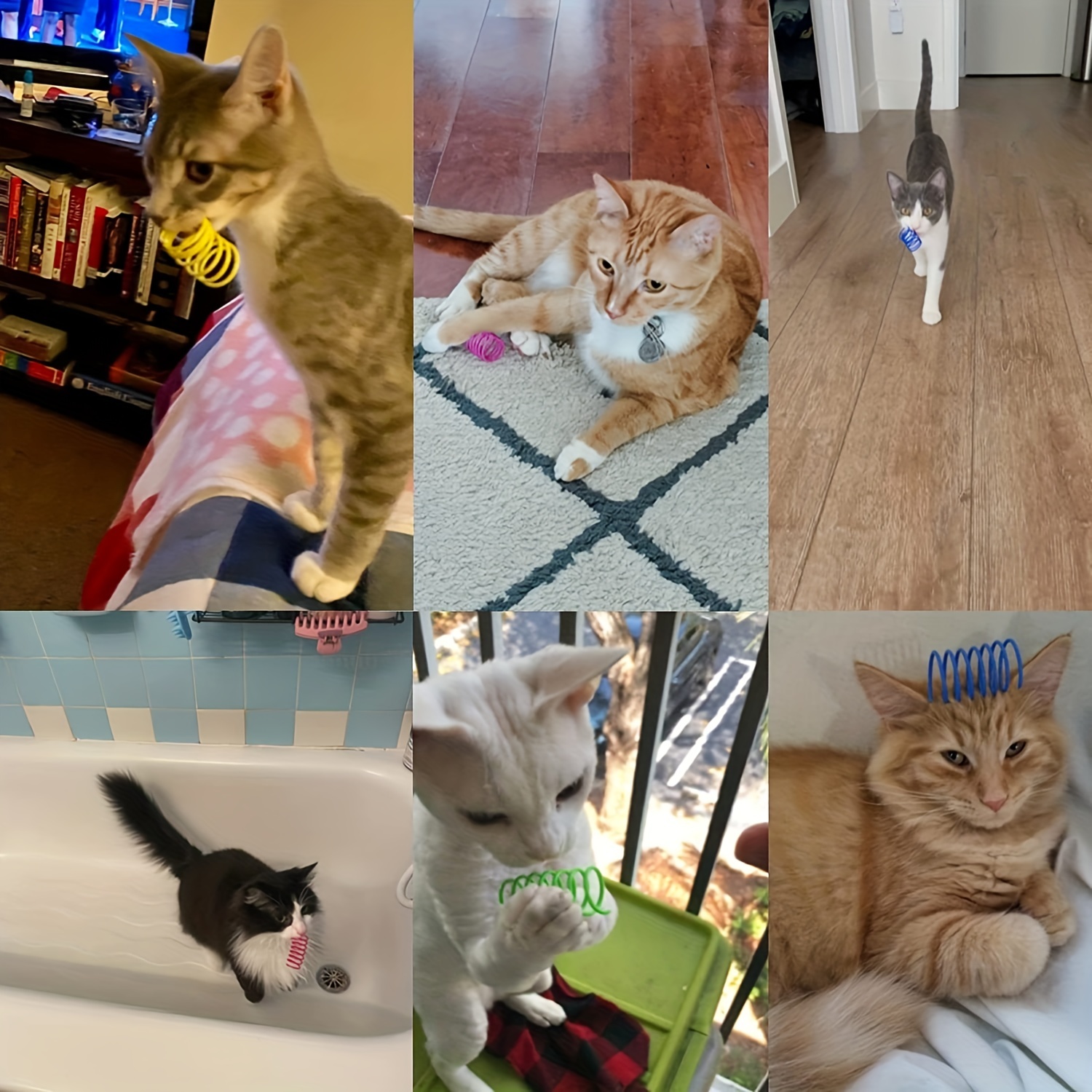 Wide Colorful Springs Cat Toys, Plastic Coil Spiral Springs For Cat, Kitten, Pets (Assorted Varieties)