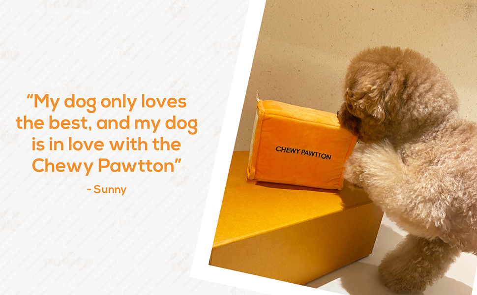 Dog Fashion Toy - Funny Cute Unique Plush Toy with Squeaker