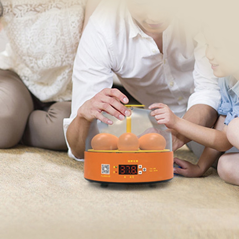 Intelligent Egg Incubator 6 Eggs Hatching Incubator Duck Quail Egg Incubators with Fully Automatic Egg Turning for Chick