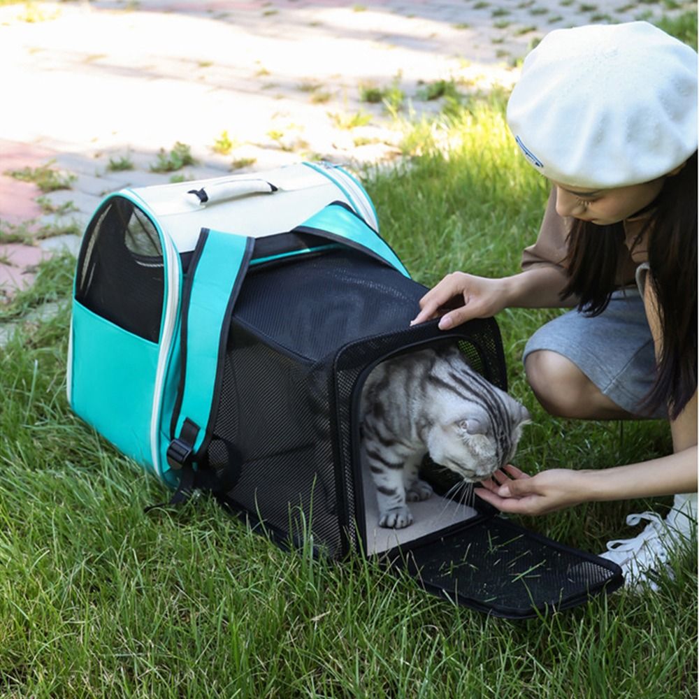Expandable Pet Backpack Carrier Portable Creative Pet Carrying Backpack Thickened Lightweight Dog Carrier Bag for Cats Puppy
