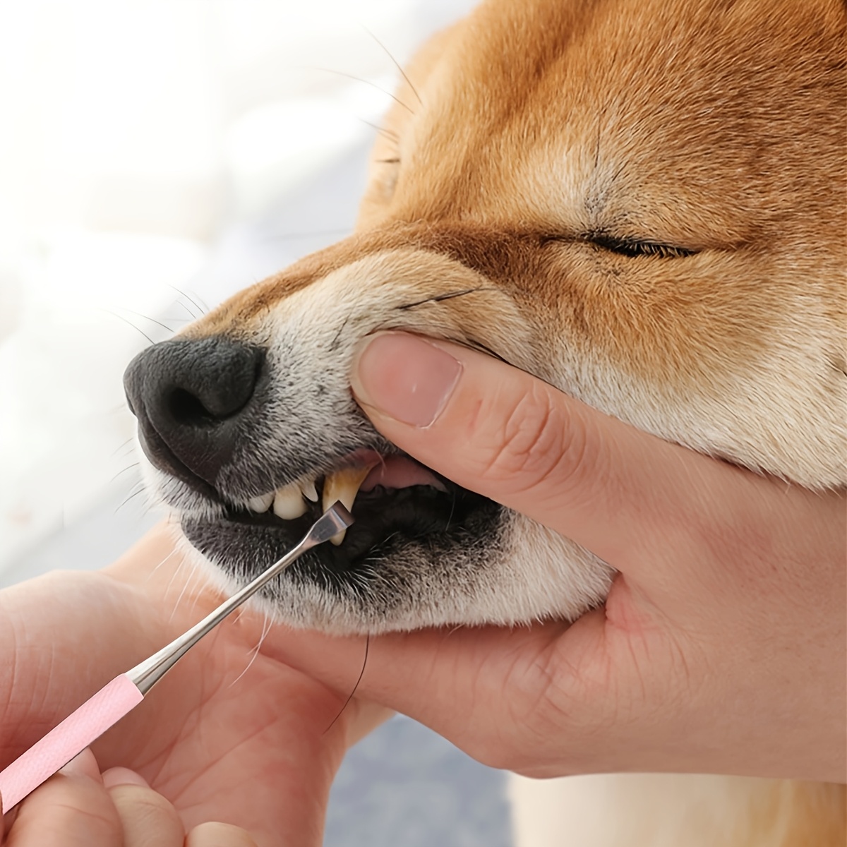 Pet Dog Tooth Cleaner Stainless Steel Tartar Removers Scraper Kit Pet Oral Cleaning Tools Double Headed Tartar Accessories