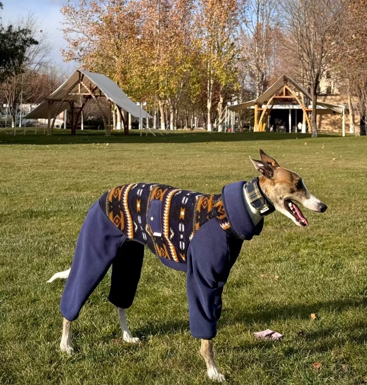 Fashion Bohemia Fleece Sweatshirt for Whipbit Luxury Soft 4-legged High-Neck Windproof Coat for Italy Greyhound Terrier Jumpsuit