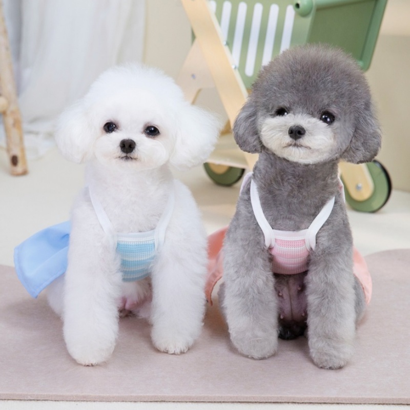 Cute Stirped Dog Dress for Small Medium Dog Fashion Print Puppy Princess Skirt Spring Summer Cat Dress Bichon Frise Pet Apparel