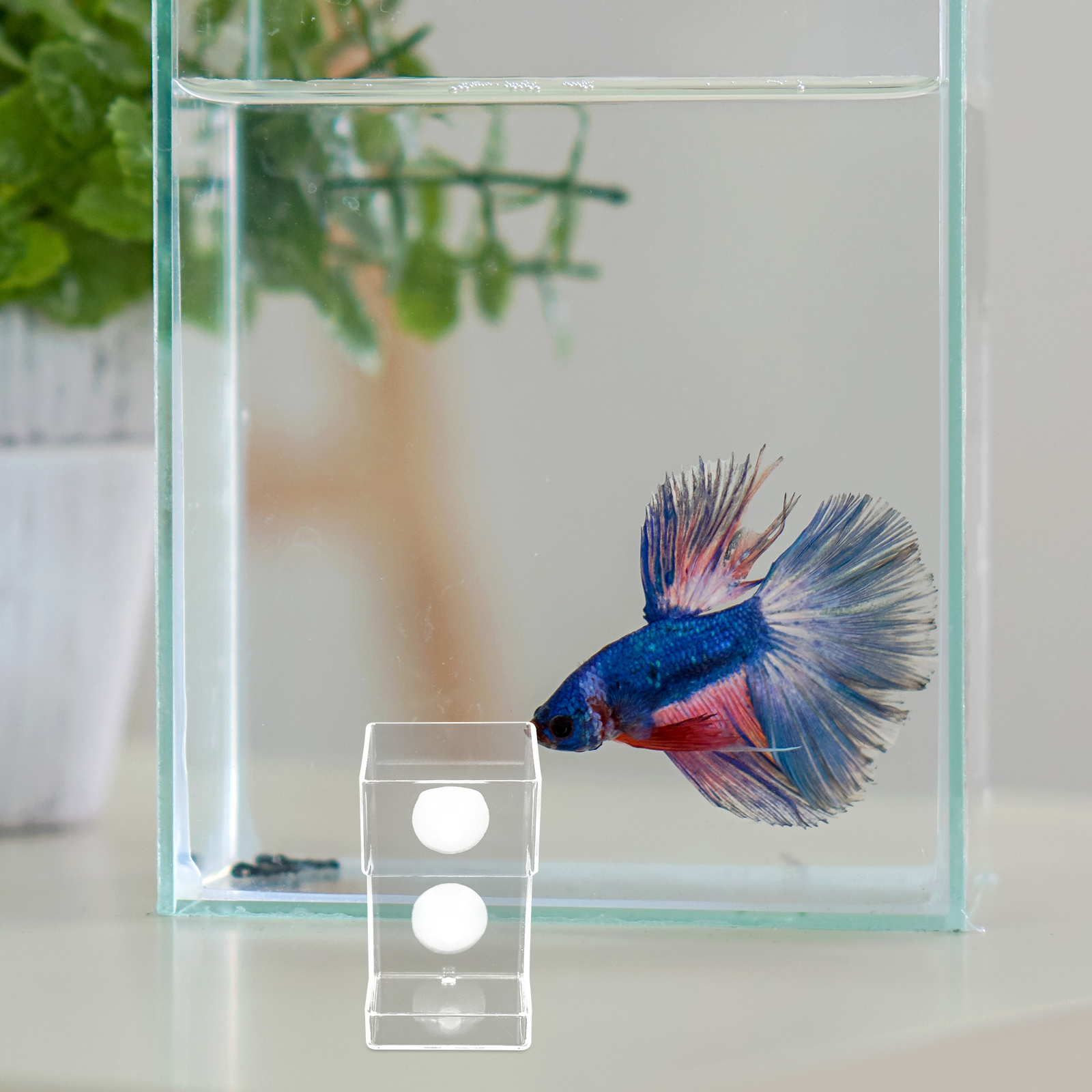 Fish Tank Feeder Floating Dish Acrylic Worm Shrimp Feeding Aquarium Tray Automatic