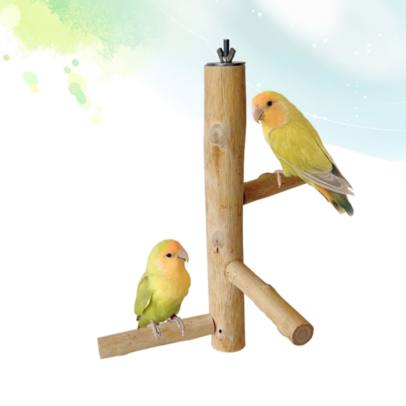 Bird Training Perch Standing Perch Toy for Parakeets Budgies Teeth Care