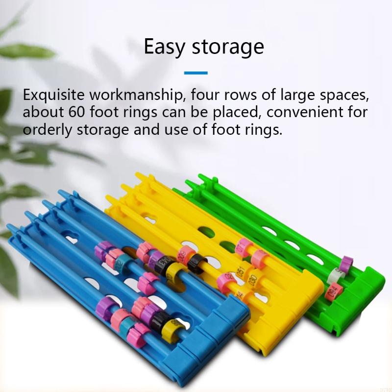 for Pigeon Supplier Foot Place for Pigeon Leg Ring Holder Bands Rack 4 Column Design Wall Mounted Plastic Frame D7WE