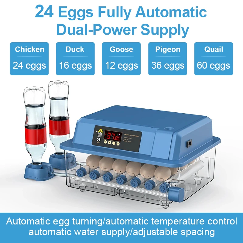 24 Eggs Incubator With Drawer Type Mini Egg Incubator With Automatic Water Ionic Waterbed Replenishment And Temperature Control