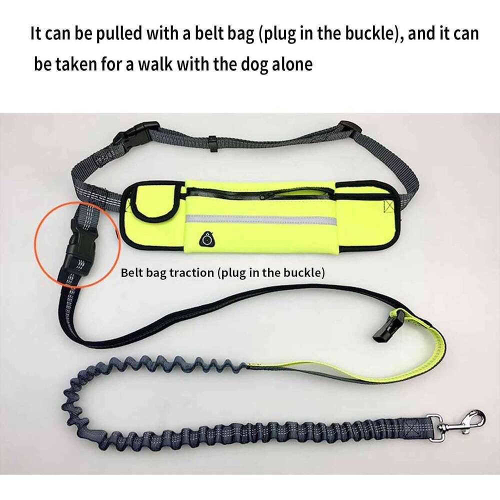 DHpet Rope Dog Lead for Medium Dogs Dog Leash Retractable Long Belt 1.6m with Carabiner Small Dogs Buckle Drawstring Hook Loop Large Capacity Waterpro