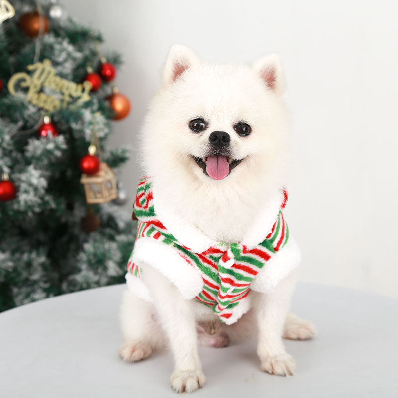 Halloween - themed Spooky Print Fleece Pet Outfits with Witch Hat Embellishments for Small and Medium - sized Dogs and Cats