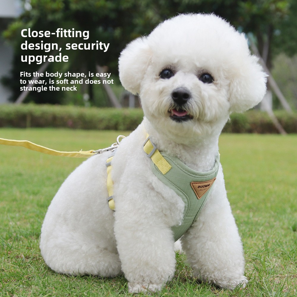 Small Dog Safety Chest Back Leash - Robust Anti-Break Pet Harness for Pets like Teddies & Bichons
