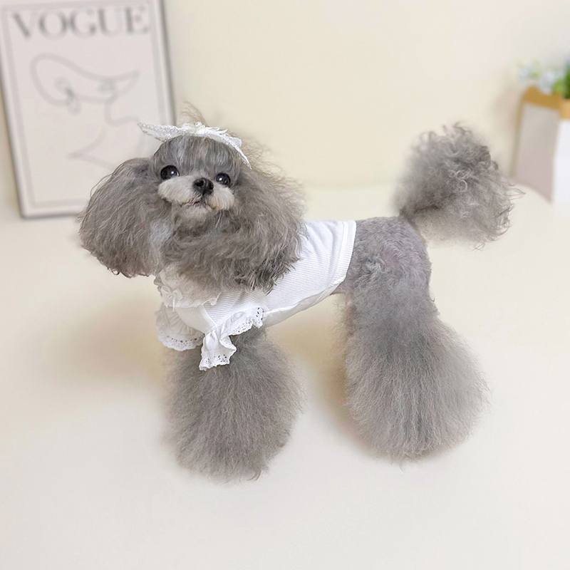 2025 Spring Pet Dog Clothes Pure Cotton Simple Pink White Purple Hoodie For Small Medium Dog Fashion Casual Overalls Puppy Hoody