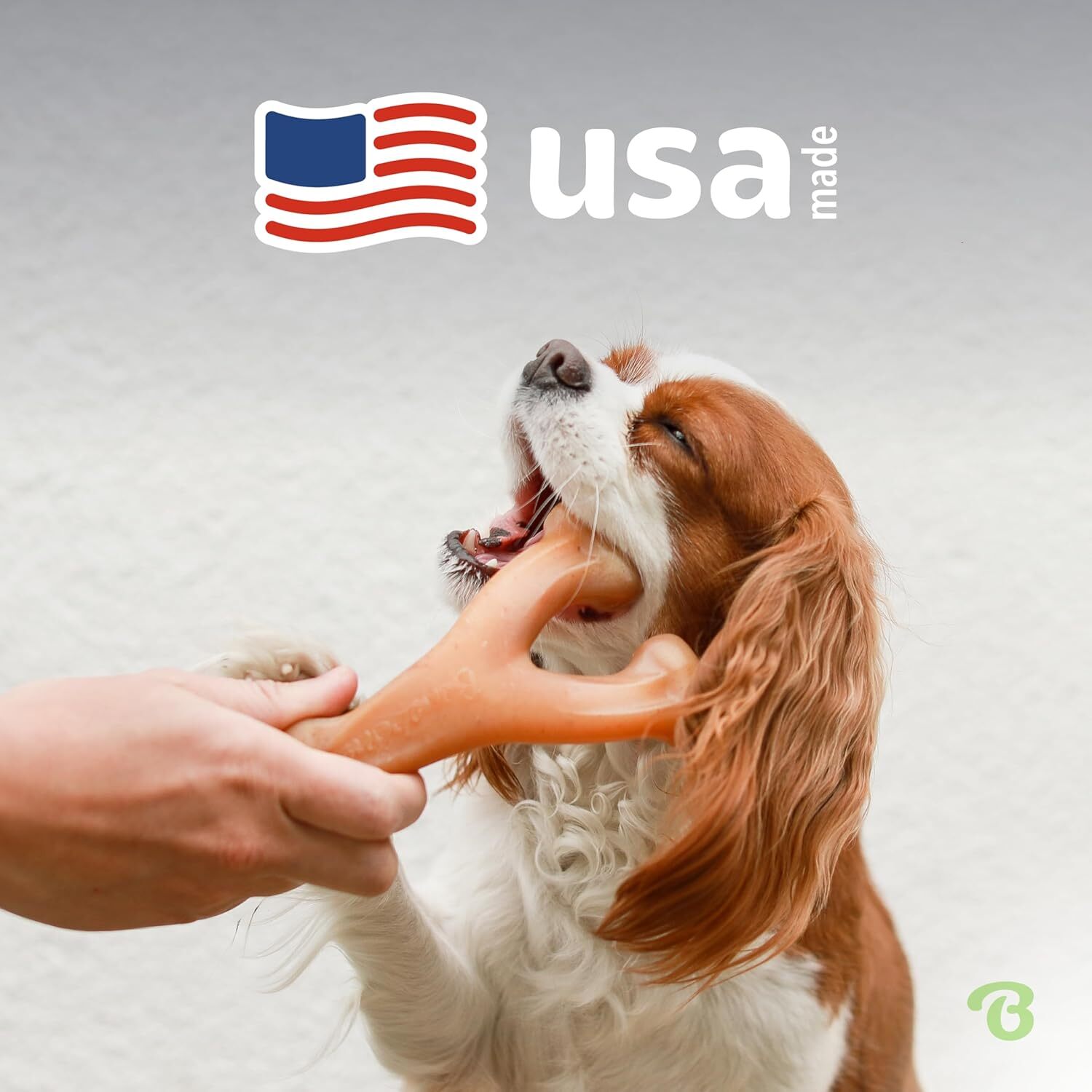 Dog Supplies Dog chew toys for large dogs Outdoor Throwing gamess Durable Dog Suitable for Intense Chewing Genuine Bacon Medium Comfort chews for dogs