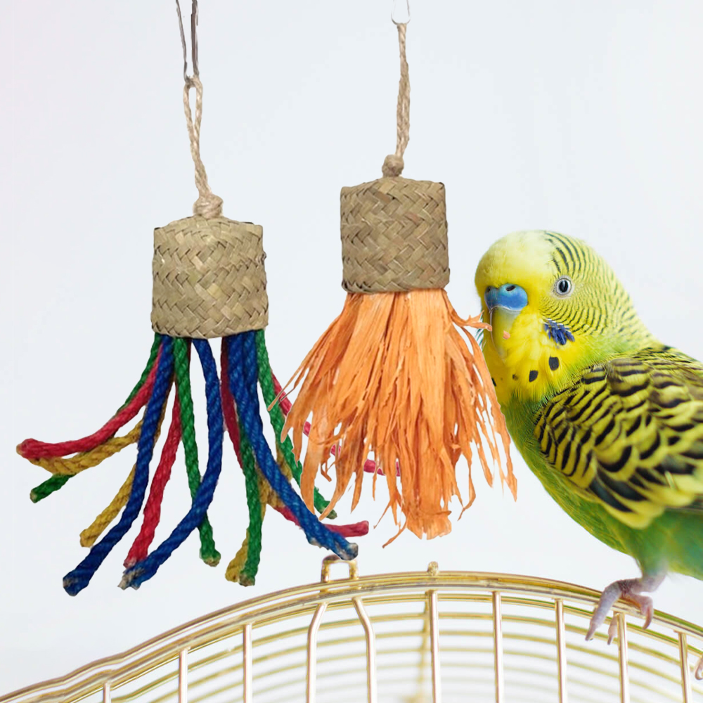 Eco-Friendly Multi-Colored Rattan Hangable Perch - Perfect Interactive Playtime Tool