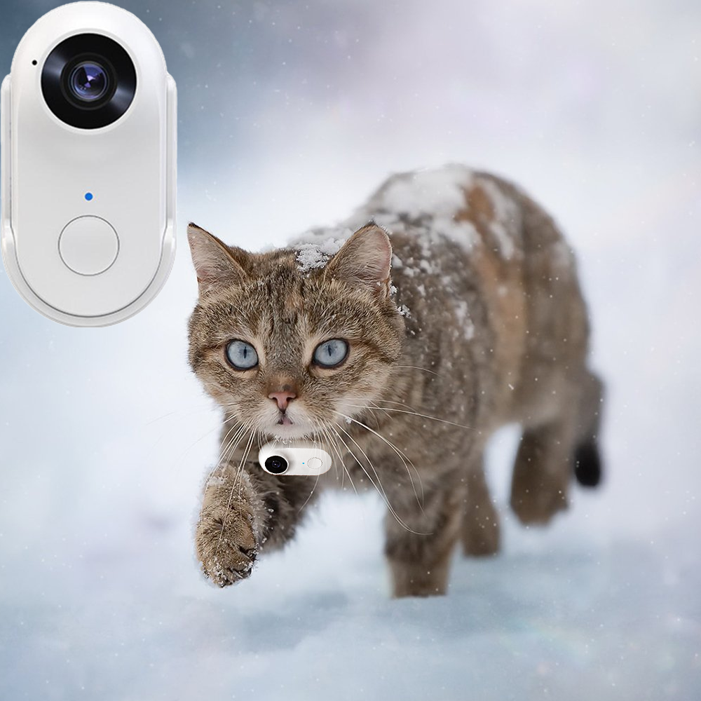 Pet Collar Camera HD 1080P WiFi Lightweight Thumb Action Cam Cats Dogs Mini Sports Video Recorder Motion Detection Night Vision