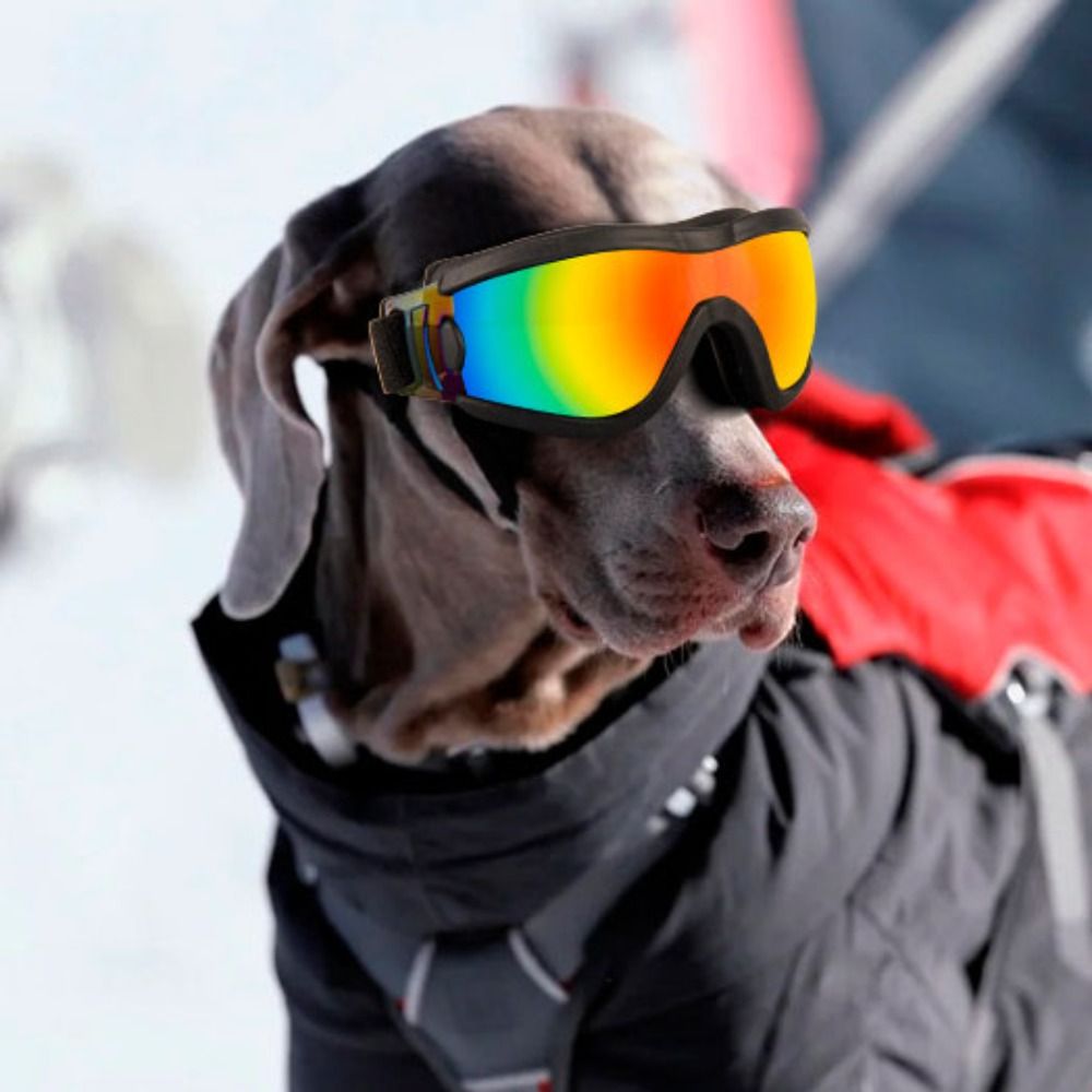 Practical Adjustable Strap Dog Goggles Windproof UV Resistant Dog Sunglasses Waterproof Anti-Fog Pet Glasses Sports