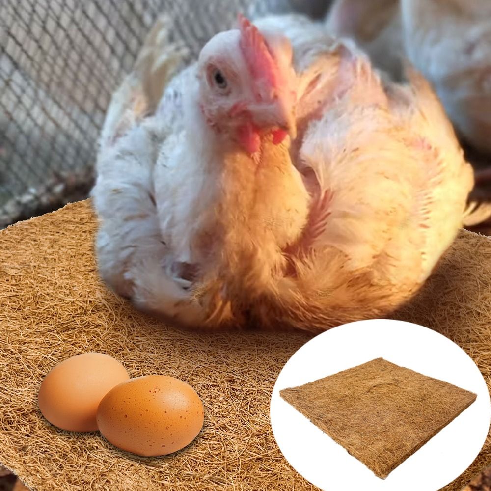 6Pcs Natural Coconut Coir Chicken Hatch Pads Freeze-proof Dry Hens Bedding Mat Square Reusable Reptile Box Mat Farm