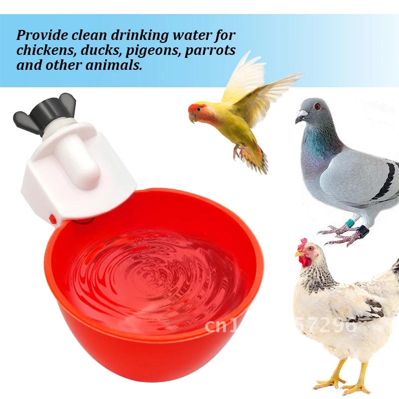 50 Pcs Automatic Chicken Drinker Bowl Duck Plastic Drinking Device Poultry Chicken Water Dispenser Water Cup Feeder Supply Bird