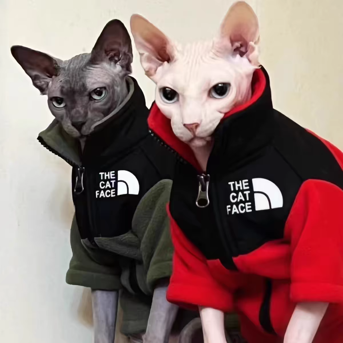 2025 new THE CAT FACE Sphynx Jacket Warm Thickened Fleece Sest Hairless Clothes with Zipper Cat Coat for Devon,Cornish, Peter Bald, Small Ki