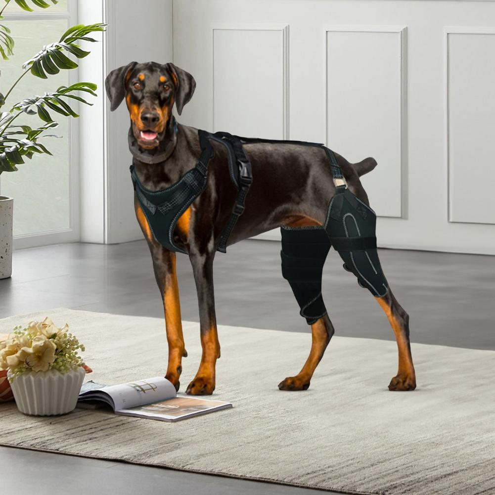 Dog Knee Brace for Acl Injury Dog Knee Brace for Back Leg Support Acl Luxating Patella Support for Dogs with Dysplasia Arthritis