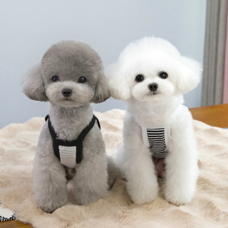 Fashion Pet Dog Suspender Vest Spring Thin Dog Clothes Cute Striped Puppy Shirt New Cat Vest Pet Apparel Bichon Frise Costumes