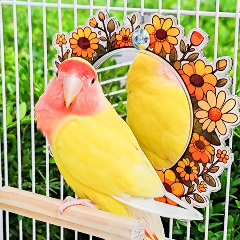 Wood Bird Perch Mirror Toy Hanging Fun Birdcage Mirror Toy Removable Colorful Cage Vanity Toy For Finch Canary Cockatiels