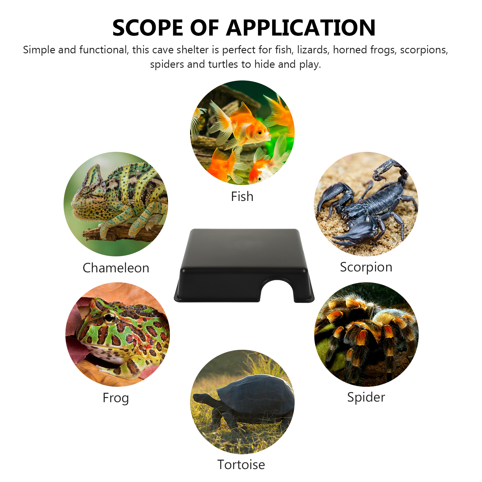 Reptiles Hide from Caves Terrarium Decor Hermit Crab Aquarium Turtle Leopard Snake Sea Artificial