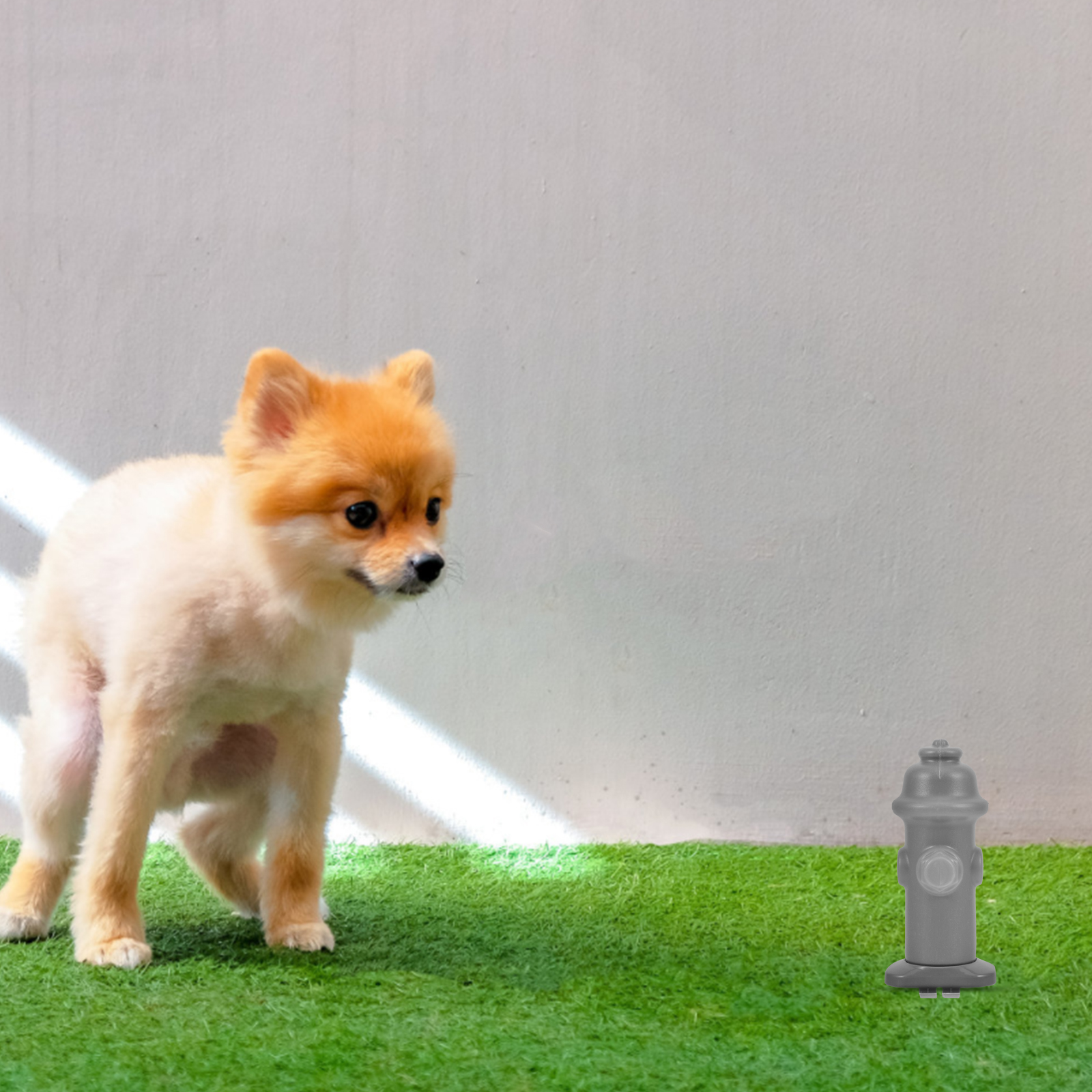 Pet Dog Toilet Accessories Grid Catheterization Column Lattice Indoor Potties Urine Light Grey Tray Guide Accessory