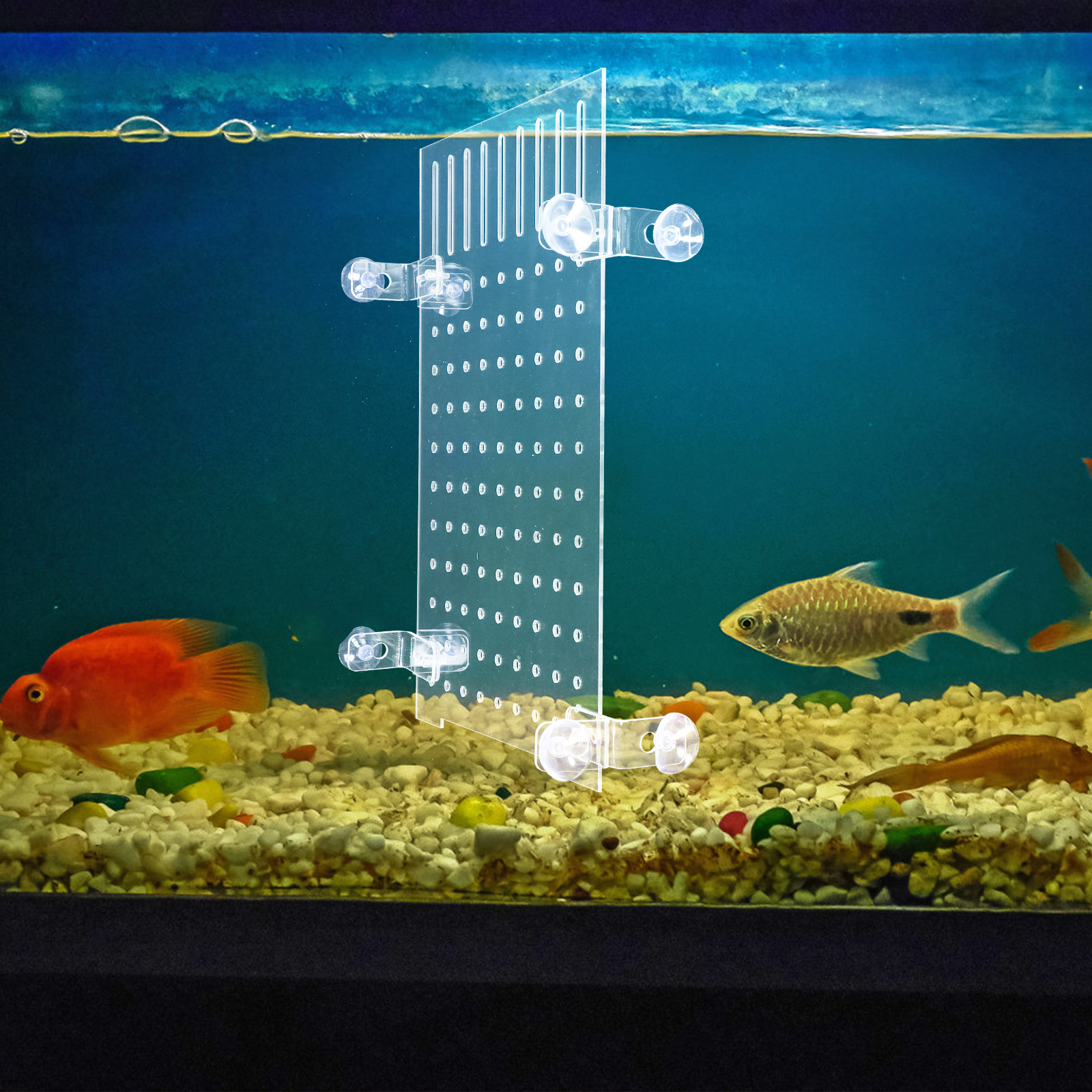 Fish Tank Isolation Board Aquarium Separator Suction Cups Portable Divider Acrylic