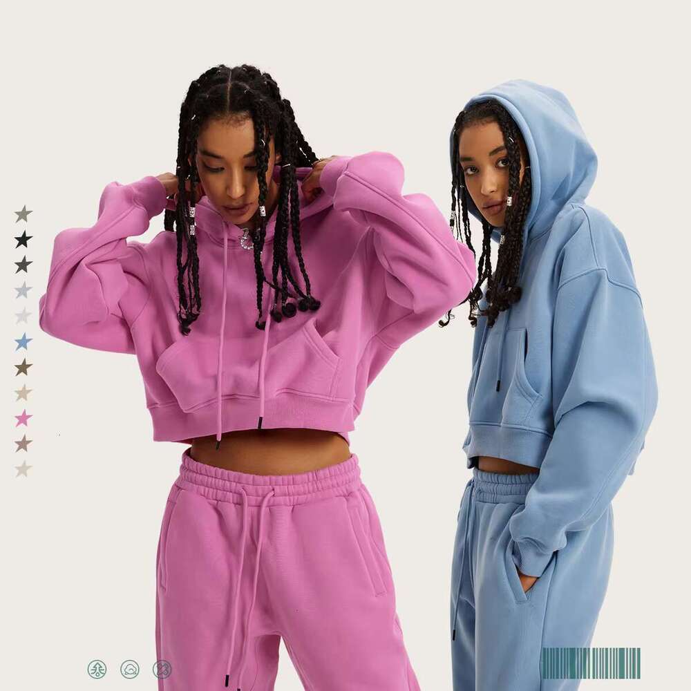 Custom Plain Pullover Embroidery Heavy Weight Womens Hoodies Streetwear Hoodie For Women