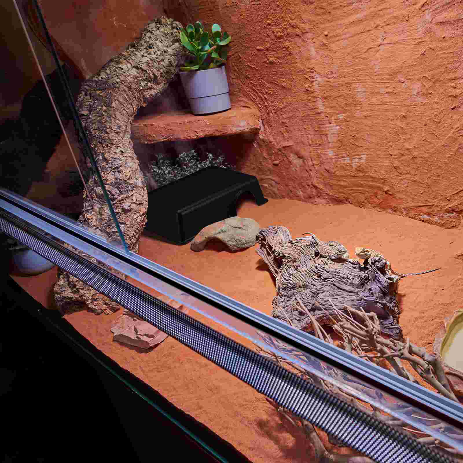 Reptiles Hide from Caves Terrarium Decor Hermit Crab Aquarium Turtle Leopard Snake Sea Artificial