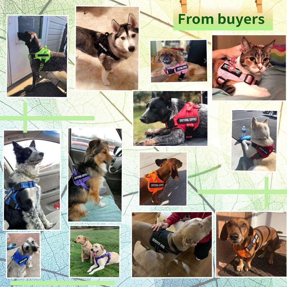 DHpet Service Emotional Support Pet Harness, Reflective Breathable & Adjustable No-Pull Dog Harness for all Sizes Dogs with 4 PCS Removeable Tags