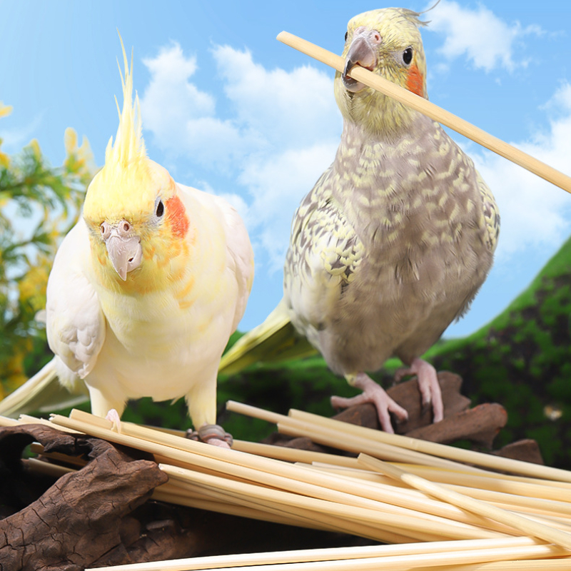 3/100g Ball Bird Toy Natural Pet Parrot Bite Toys Budgies Cockatoo Parakeet Cockatiels Lovebird Cage Teething Toy Nest Decor Ḁ