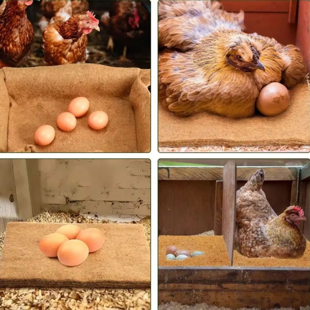 6Pcs Practical Coconut Coir Chicken Hatch Pads Square Freeze-proof Hens Bedding Mat Reusable Dry Reptile Box Mat Lizard