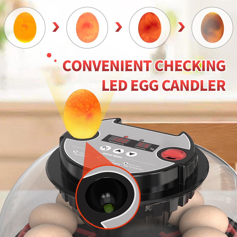 VEVOR 12 Egg Incubator Automatic T Urner Poultry Hatcher With Temperature Humidity Control For Chicken Duck Hatching Eggs