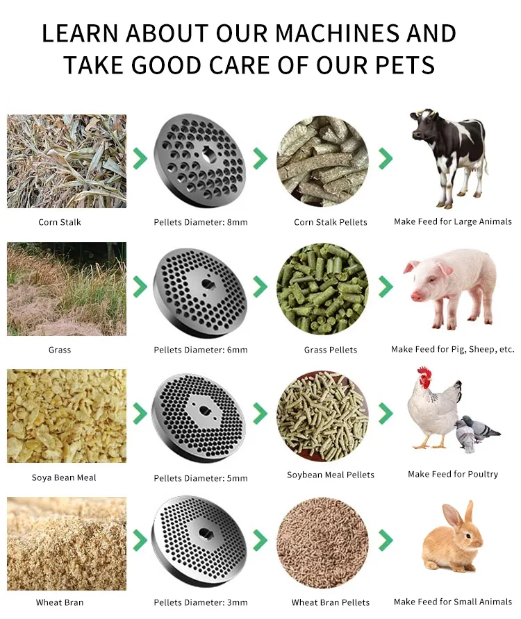 Animal Food Pelletizer Pellets Machines For Poultry Animal Fish Chicken Feed Pellet Making Machine For Livestock Feed 300 Kg/h