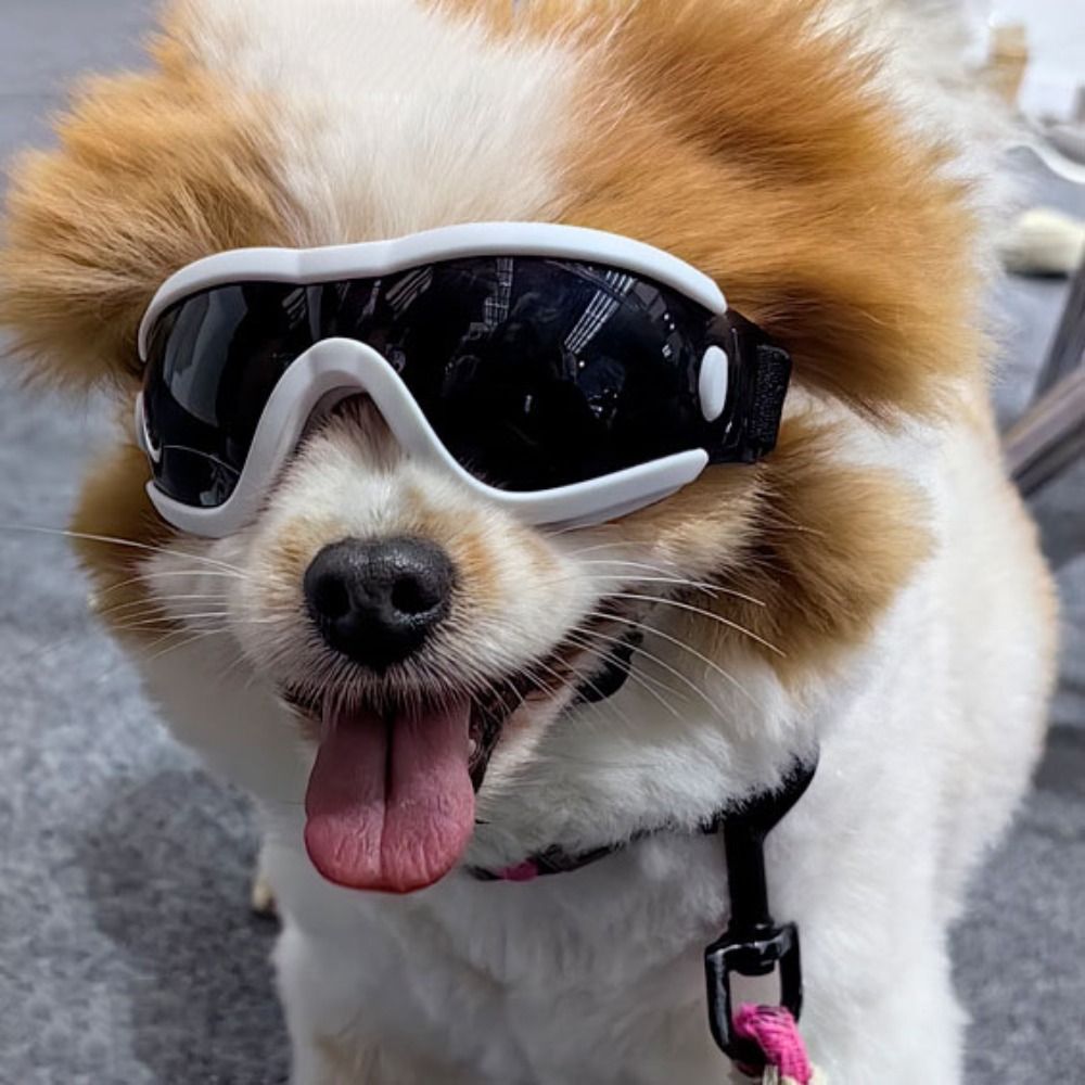 Practical Adjustable Strap Dog Goggles Windproof UV Resistant Dog Sunglasses Waterproof Anti-Fog Pet Glasses Sports