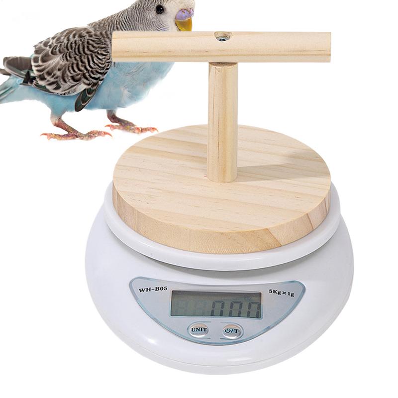 Parrot Scale Small Animal Scale With Perch For Pet Bird Convenient Weight Changing Monitoring Tool For Medication Milk Powder