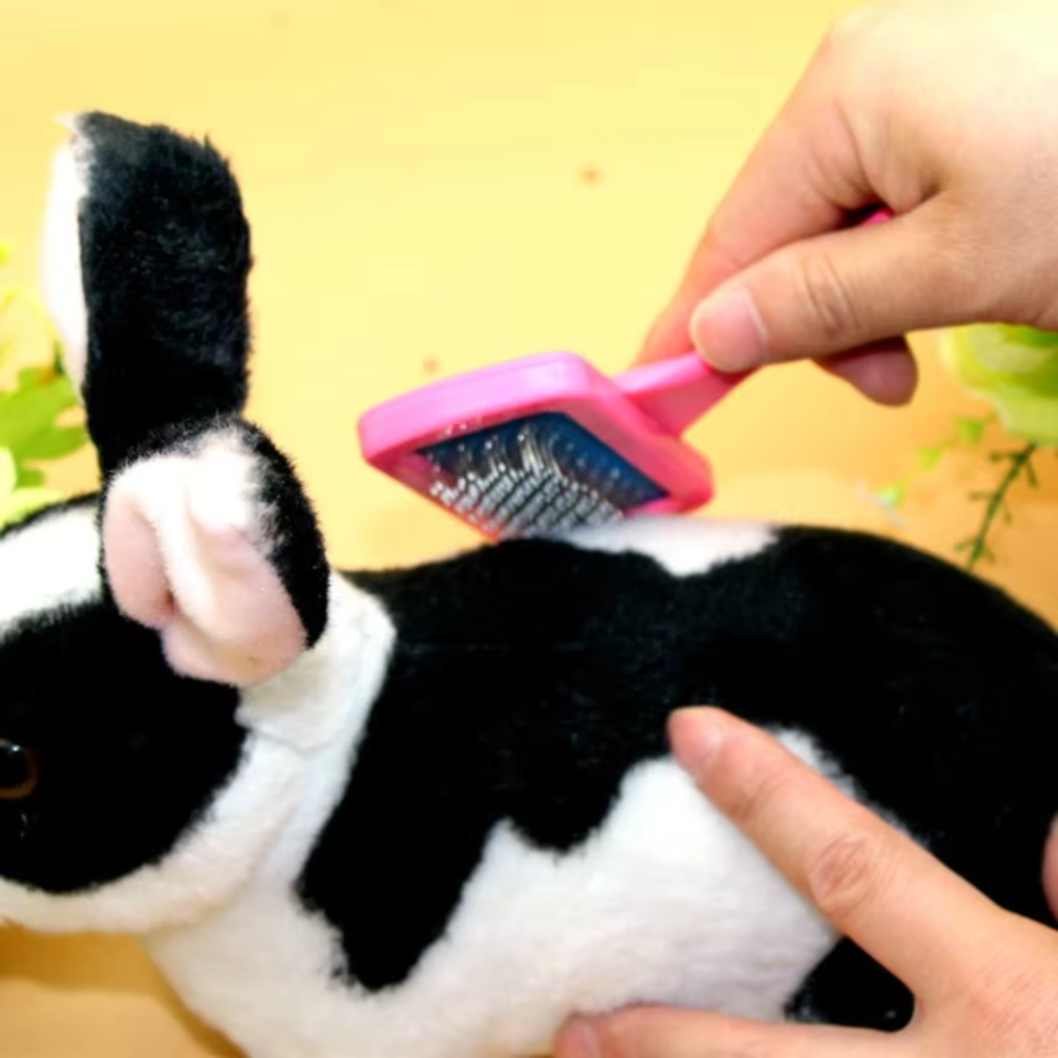 Rabbit Brush Pet Grooming Comb Dutch Pig Dogs Combs Dry Cleaning Brushes Guinea Pig Peines Pets Grooming Needle Comb Rabbits